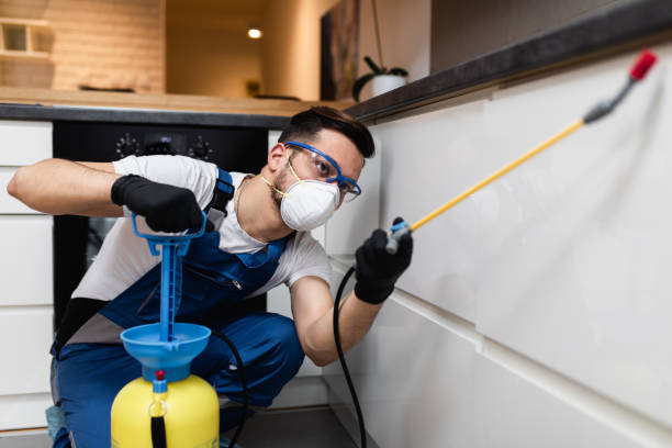 Best Best Pest Control Companies  in Brandywine Bay, NC