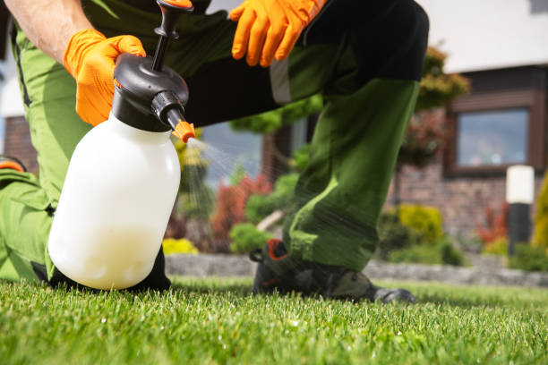 Best Residential Pest Control  in Brandywine Bay, NC