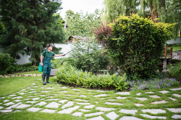 Best Best Pest Control Near Me  in Brandywine Bay, NC
