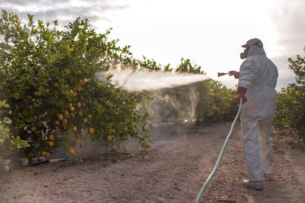 Best Affordable Pest Control Services  in Brandywine Bay, NC