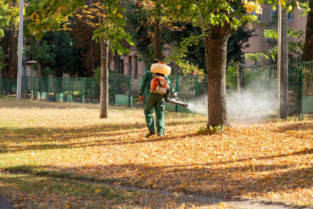 Best Local Pest Control Services  in Brandywine Bay, NC