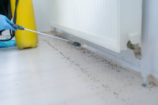 Brandywine Bay, NC Pest Control Company