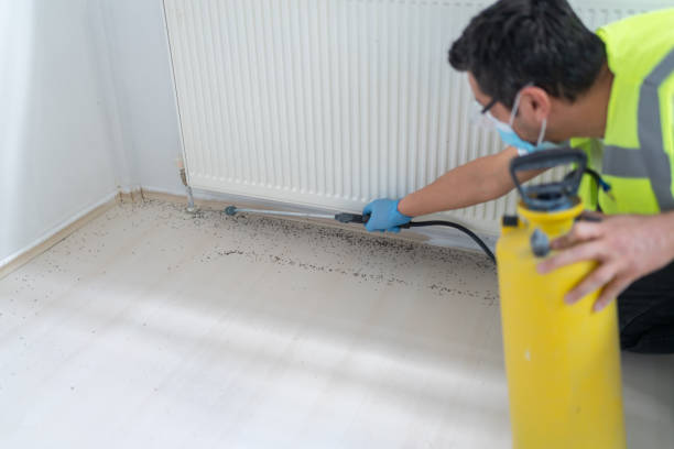 Best Termite Control Services  in Brandywine Bay, NC